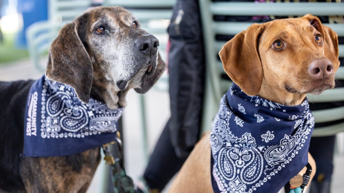 Community First CU tweet media