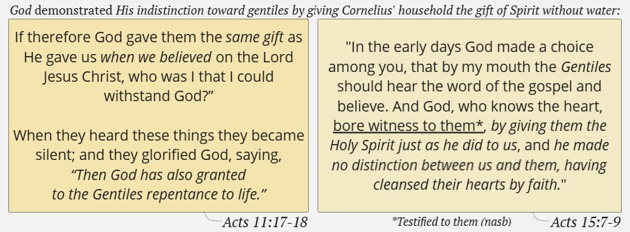 Springhouse ⛲ tweet media