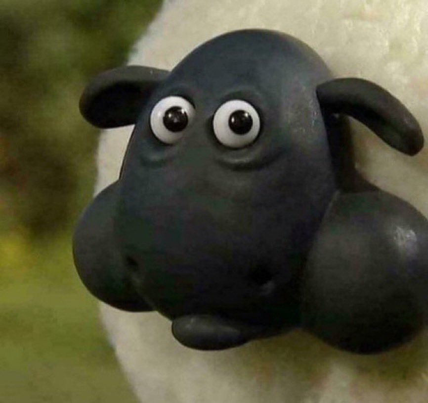 مشعل بس tweet media