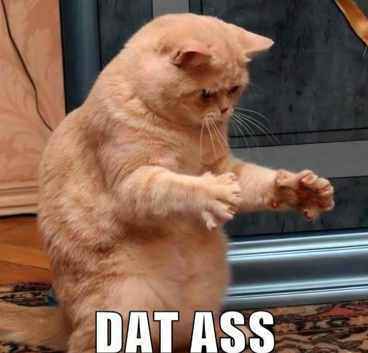 General Catton, soon warlord of former Seattle tweet media