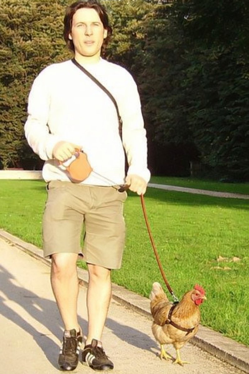 The Pip⭕️nator tweet media