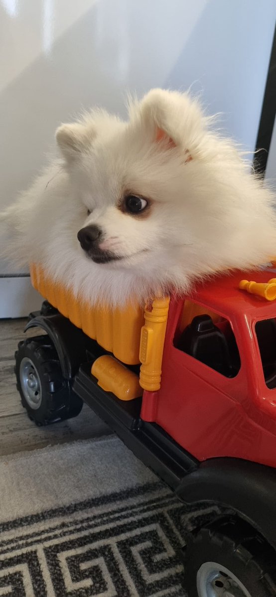 DEA¹⁹⁰⁷ tweet media