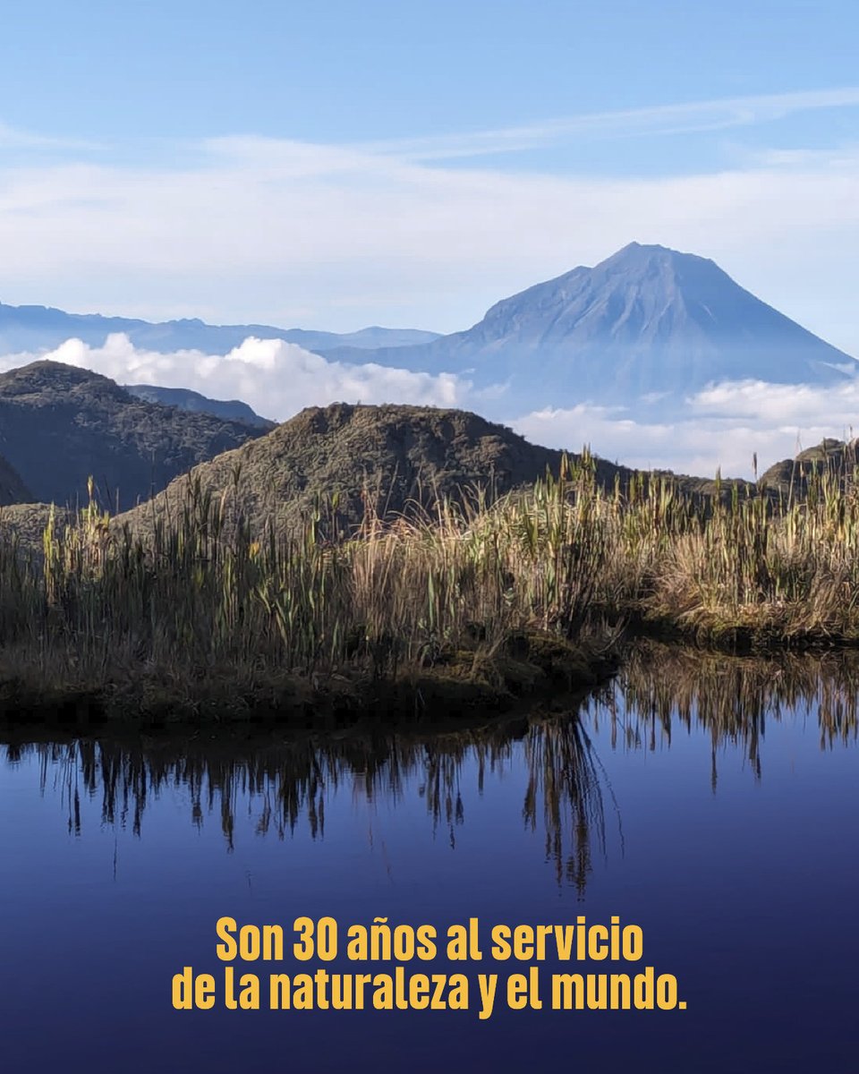 Ministerio de Ambiente y Energía tweet media