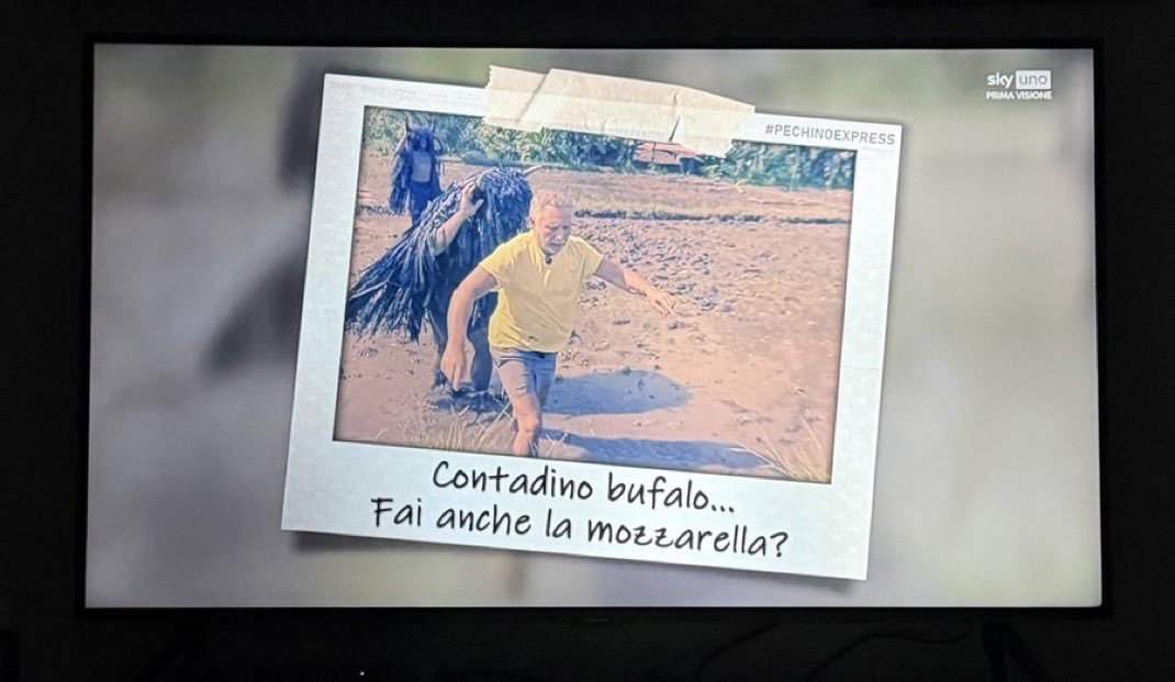 sara 🪩 || disco, occasionally tweet media