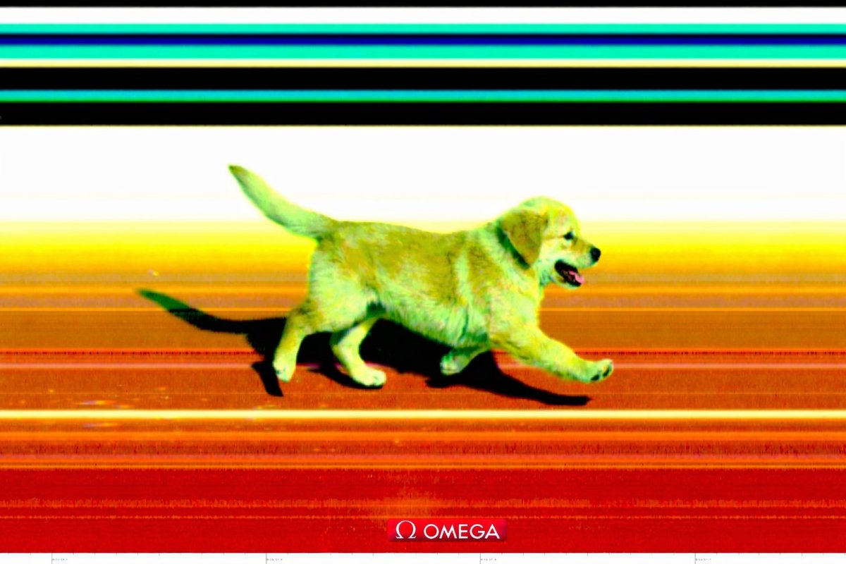 CryptoWatcher tweet media