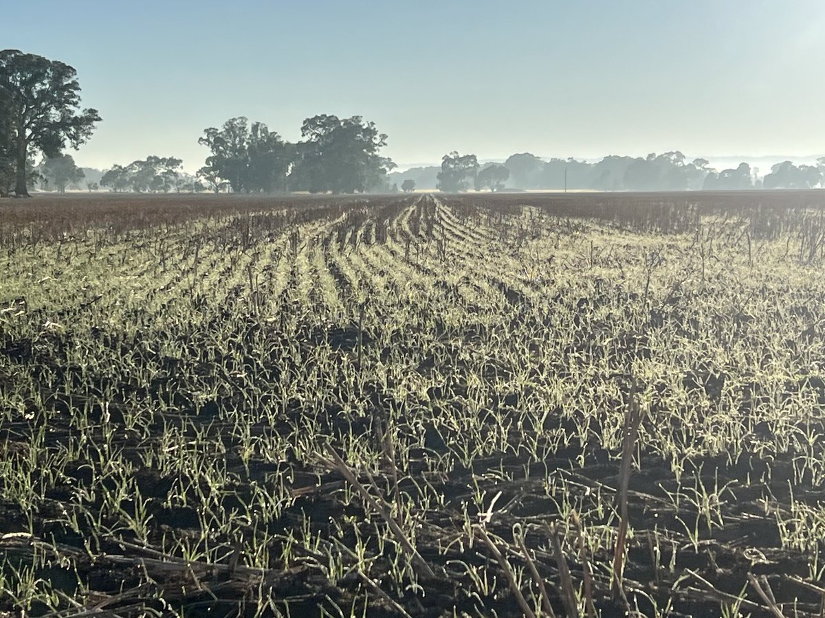 John Bennett tweet media