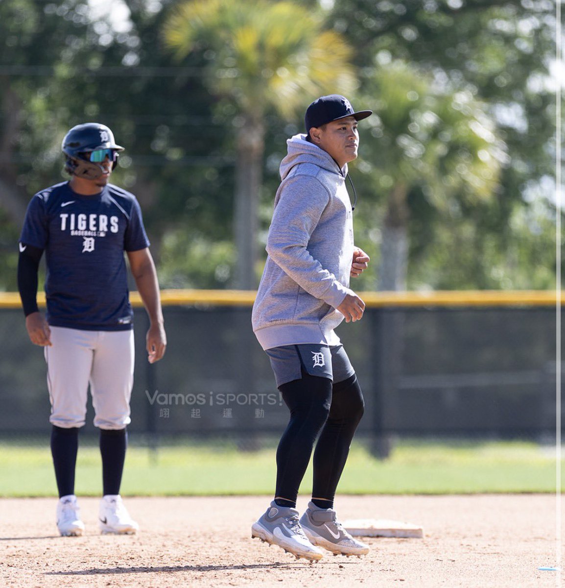 Tigers Torkmoil tweet media