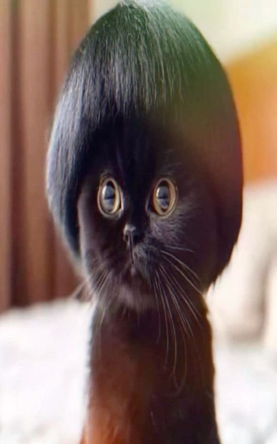 (e) - Caleb Downs FC 💫 tweet media