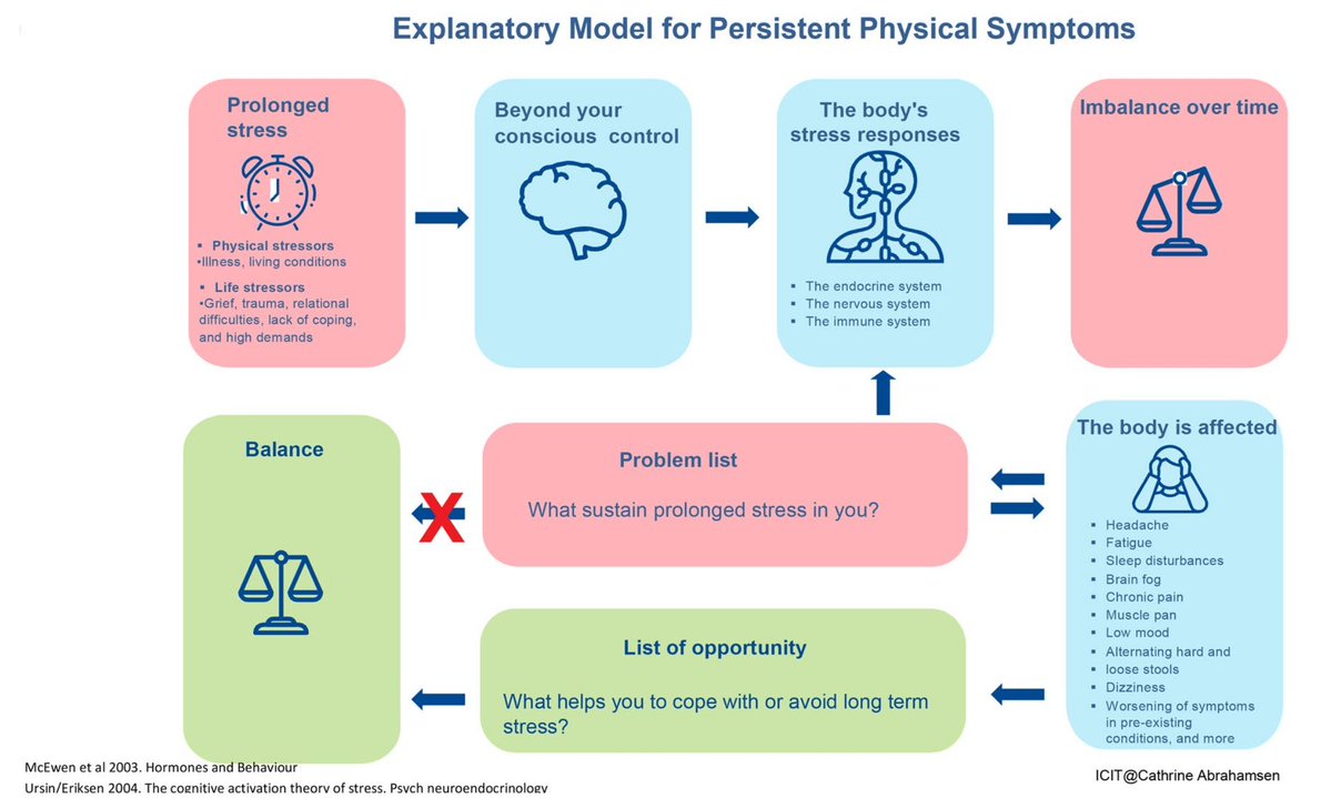 Physio Meets Science tweet media