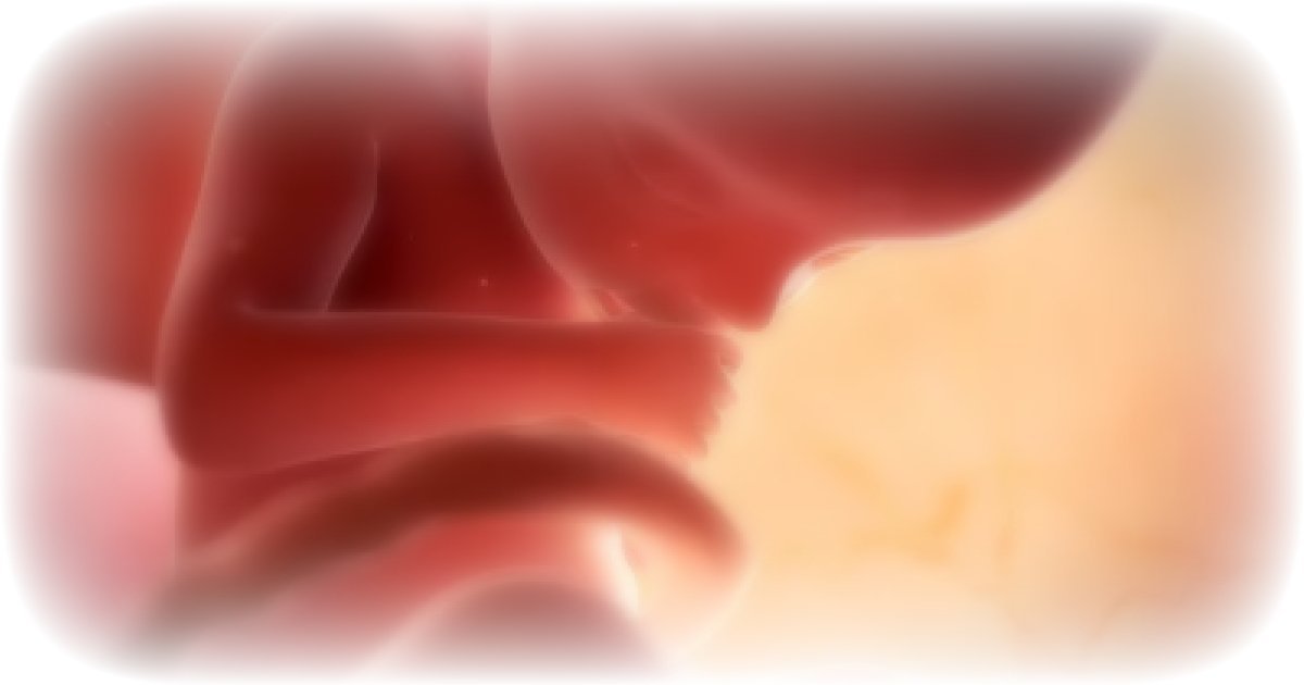 Texas_4_Trump-Kenny tweet media