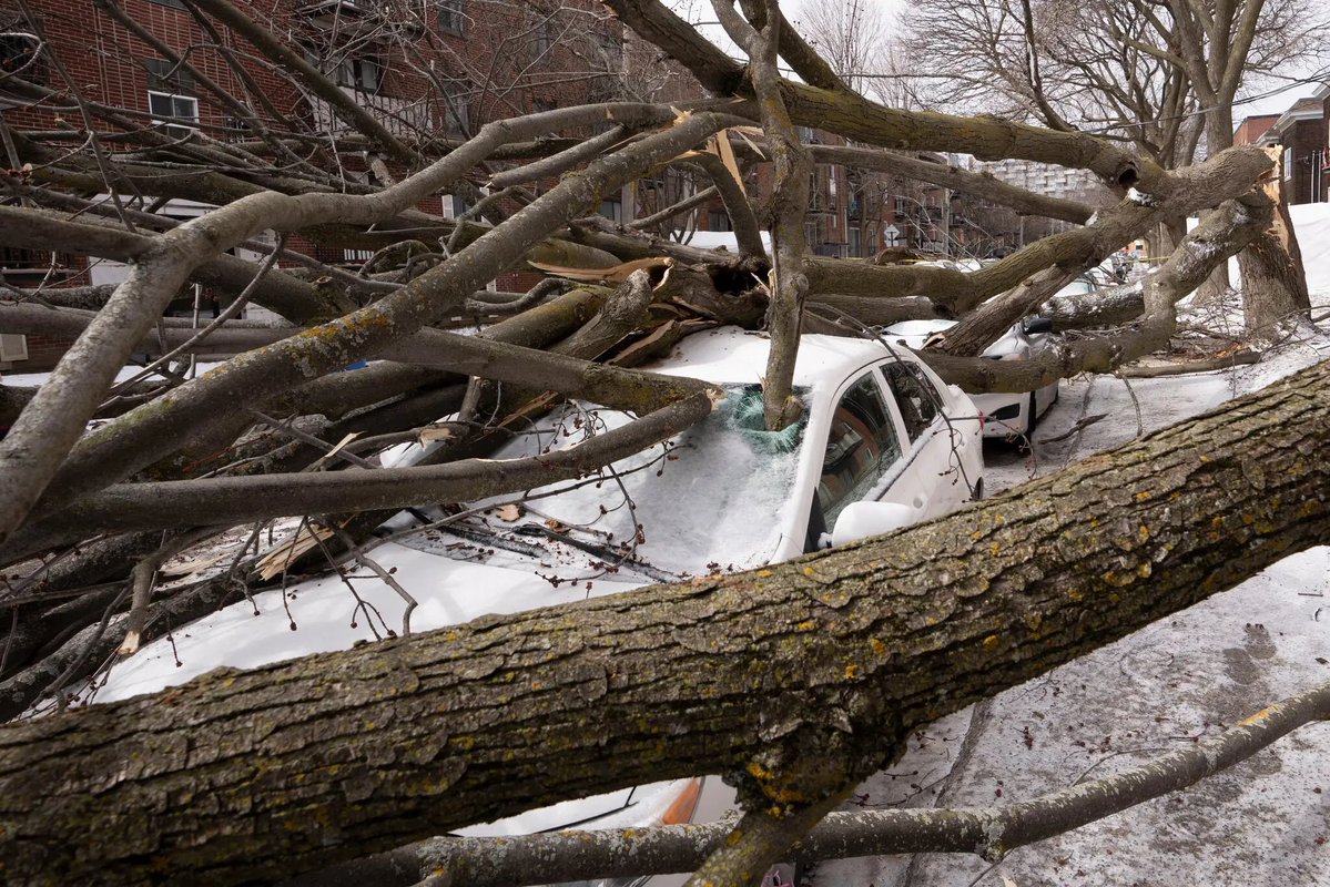 Daniel A. Walker 🇨🇦🇺🇦🇬🇱🌻😷💉🚴🏻 tweet media