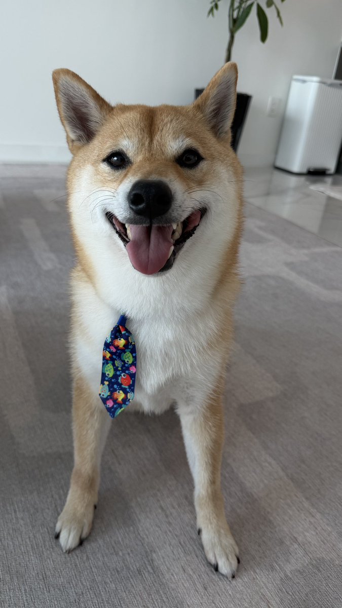 Myles G Investments tweet media