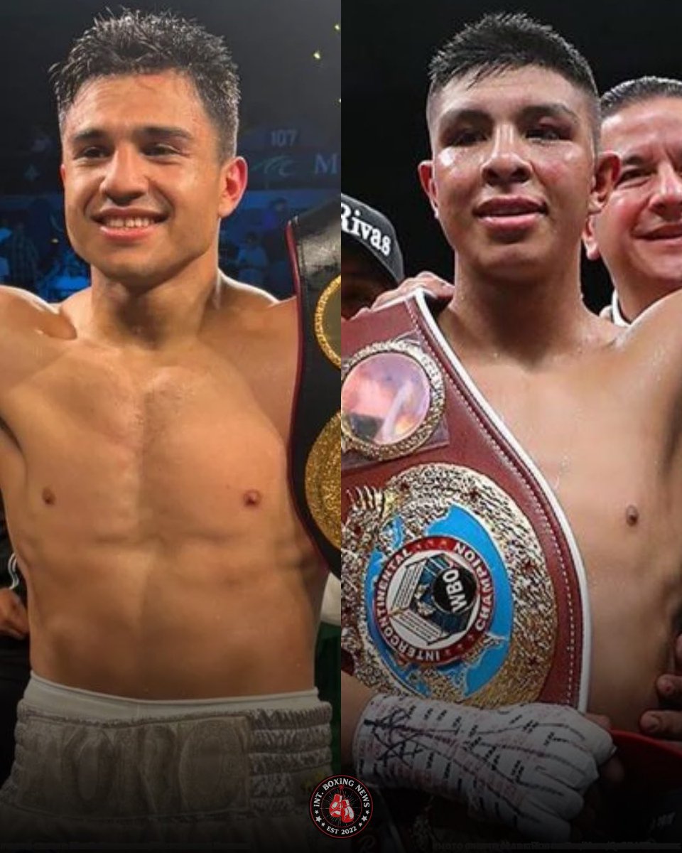 International Boxing News tweet media