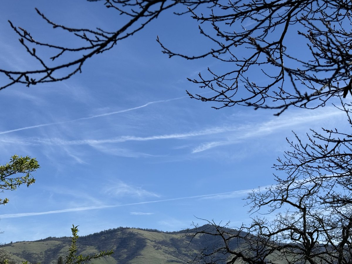 Paul J. von Hartmann tweet media