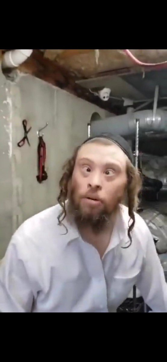 Dr Danny Trumpstein tweet media