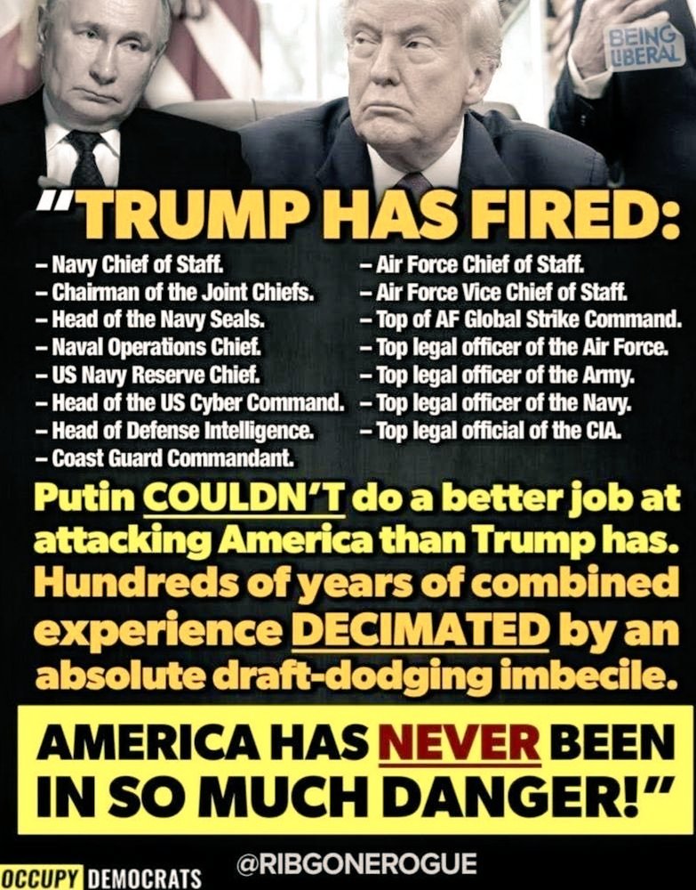 Verity 4 tweet media