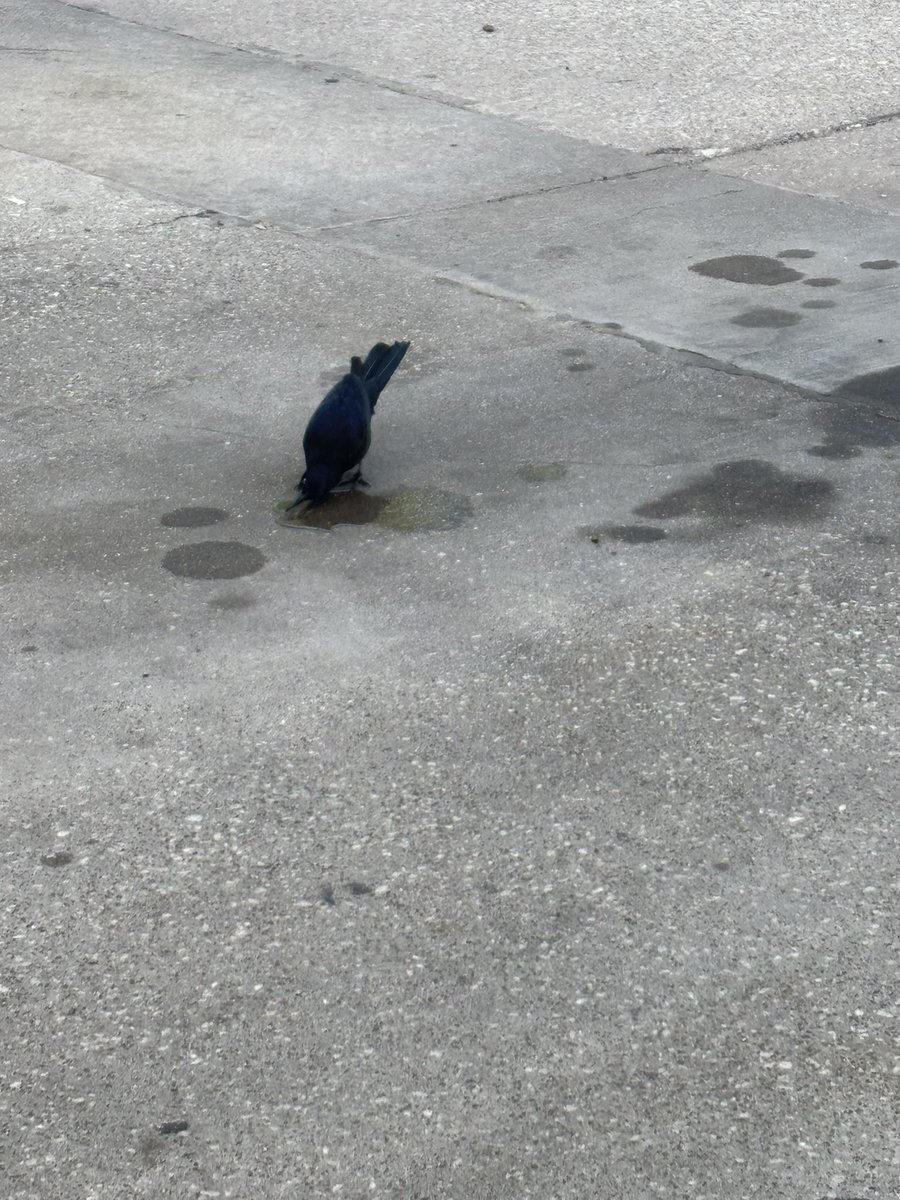 Esteban Graham tweet media