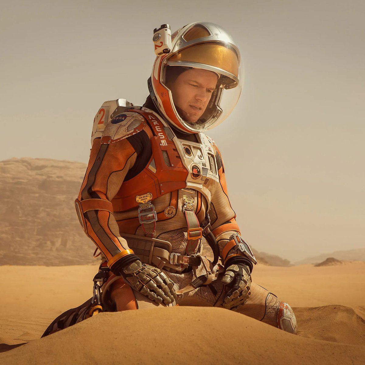 Fandom Pulse tweet media