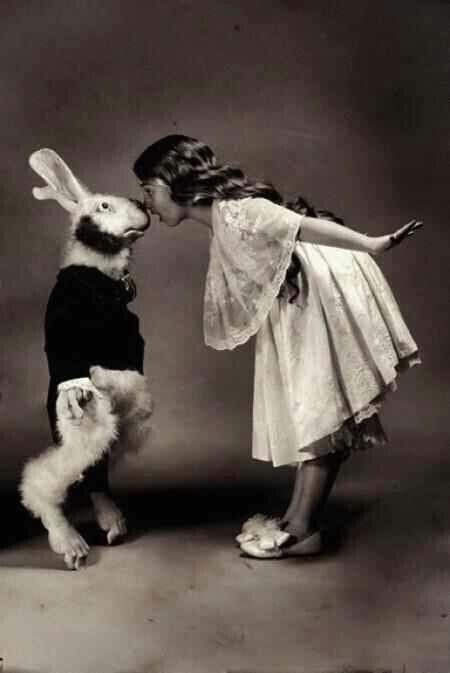 ⚡ HQMVP ☯︎ ALICE// ²³ tweet media