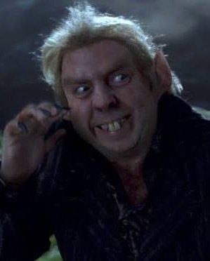 Zahra Hamidia🟥 ☫ 🟩 tweet media