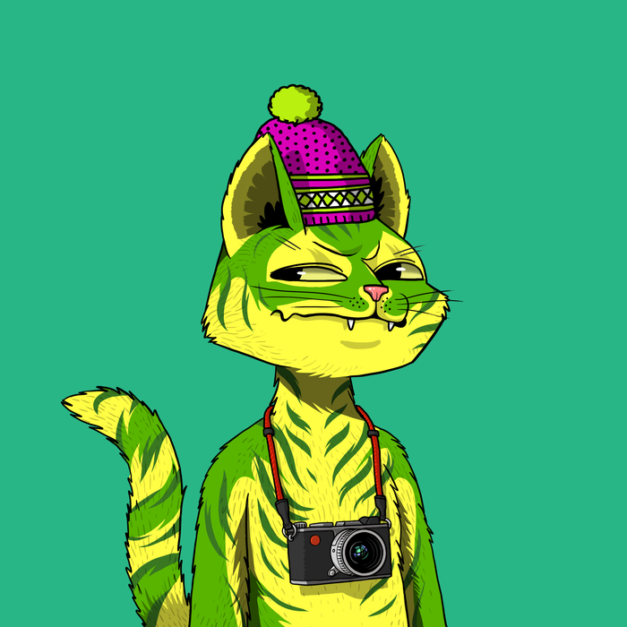 Mars Cats Voyage tweet media