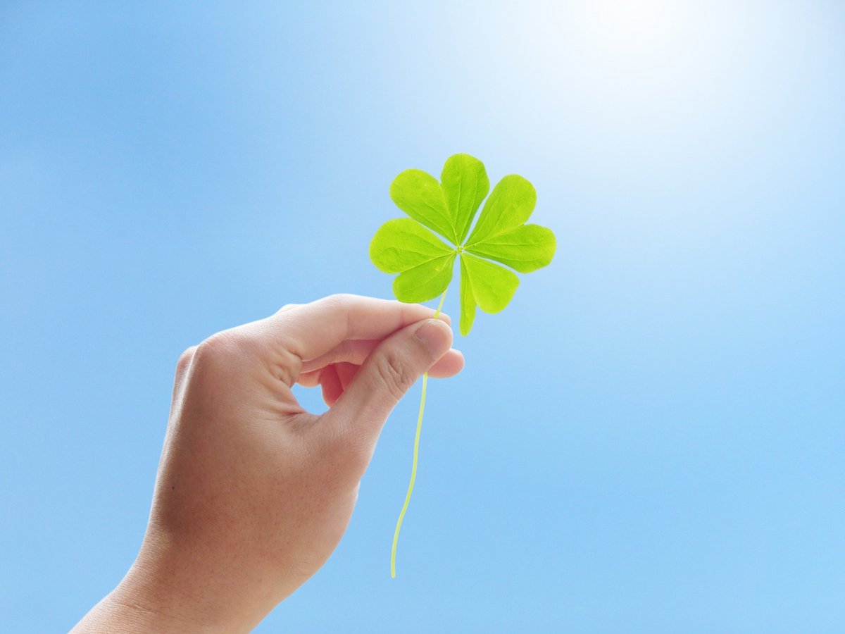 🐤 ⛩ 良縁祈願のひよこ神社 ⛩ 🐤 tweet media