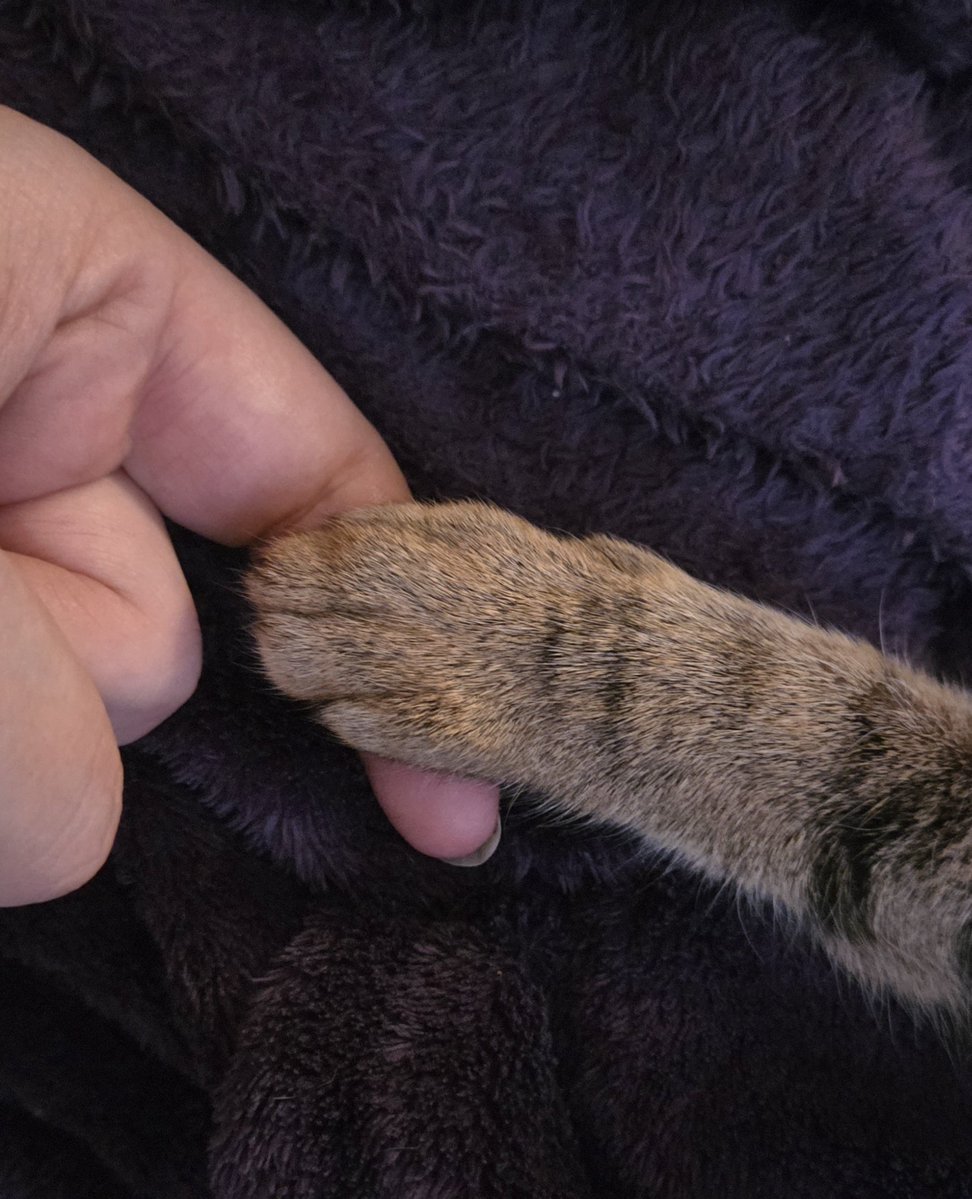 💙💛🌻Reni1977🇩🇪kämpft für die 🇺🇦✊️ tweet media