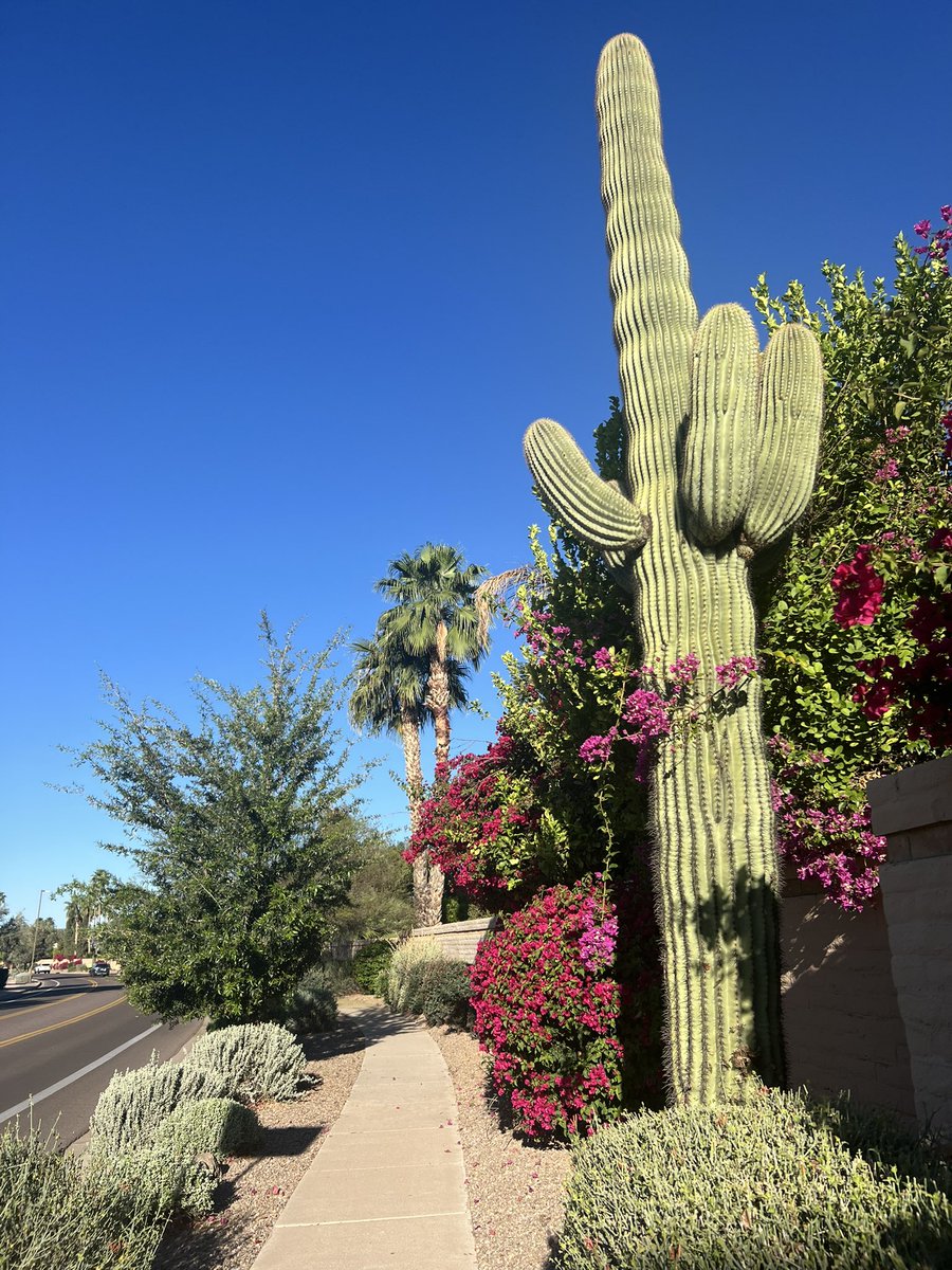 Tina Kanter tweet media