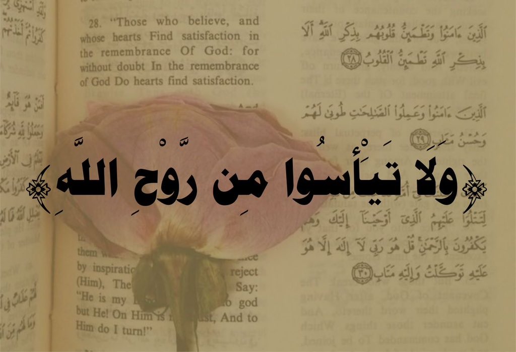 ​﴿ القُـرآن الكَـرِيم ﴾ tweet media