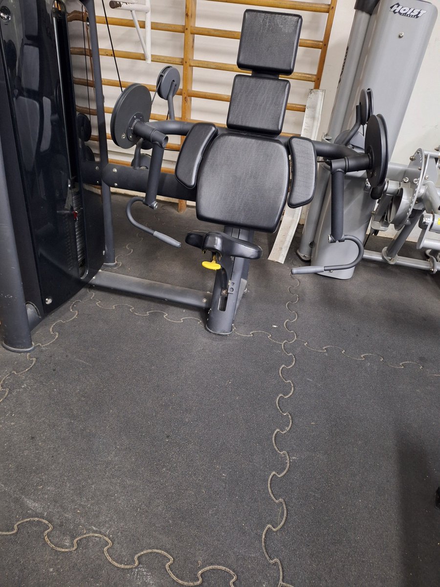 JustNoamL tweet media