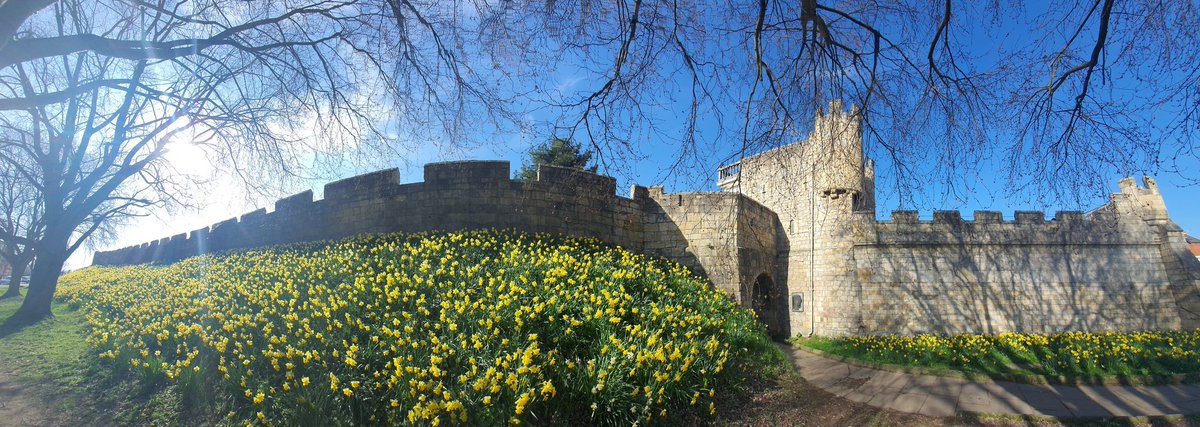 Ye Wise Olde Witch tweet media