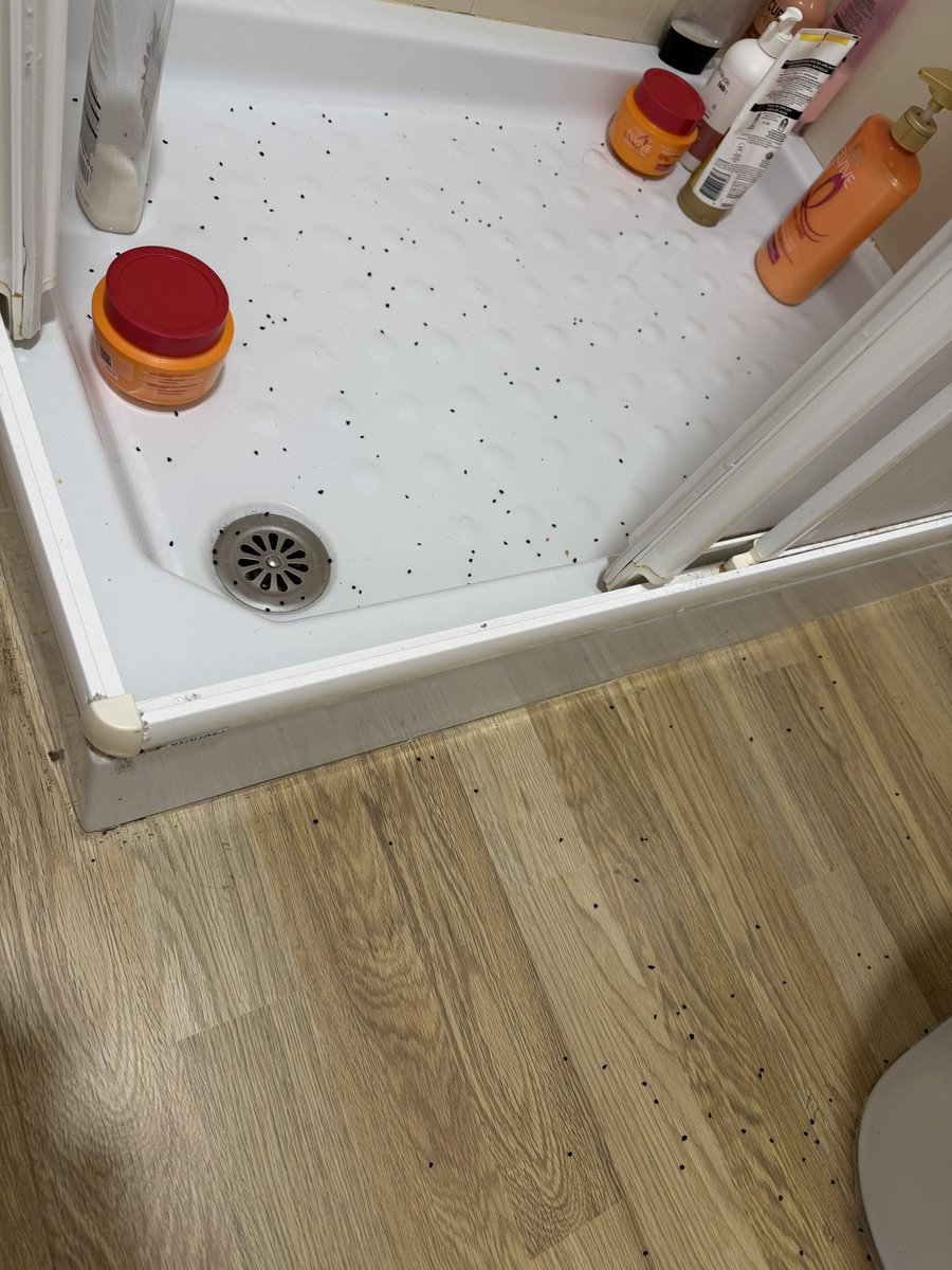 La Sotanita tweet media