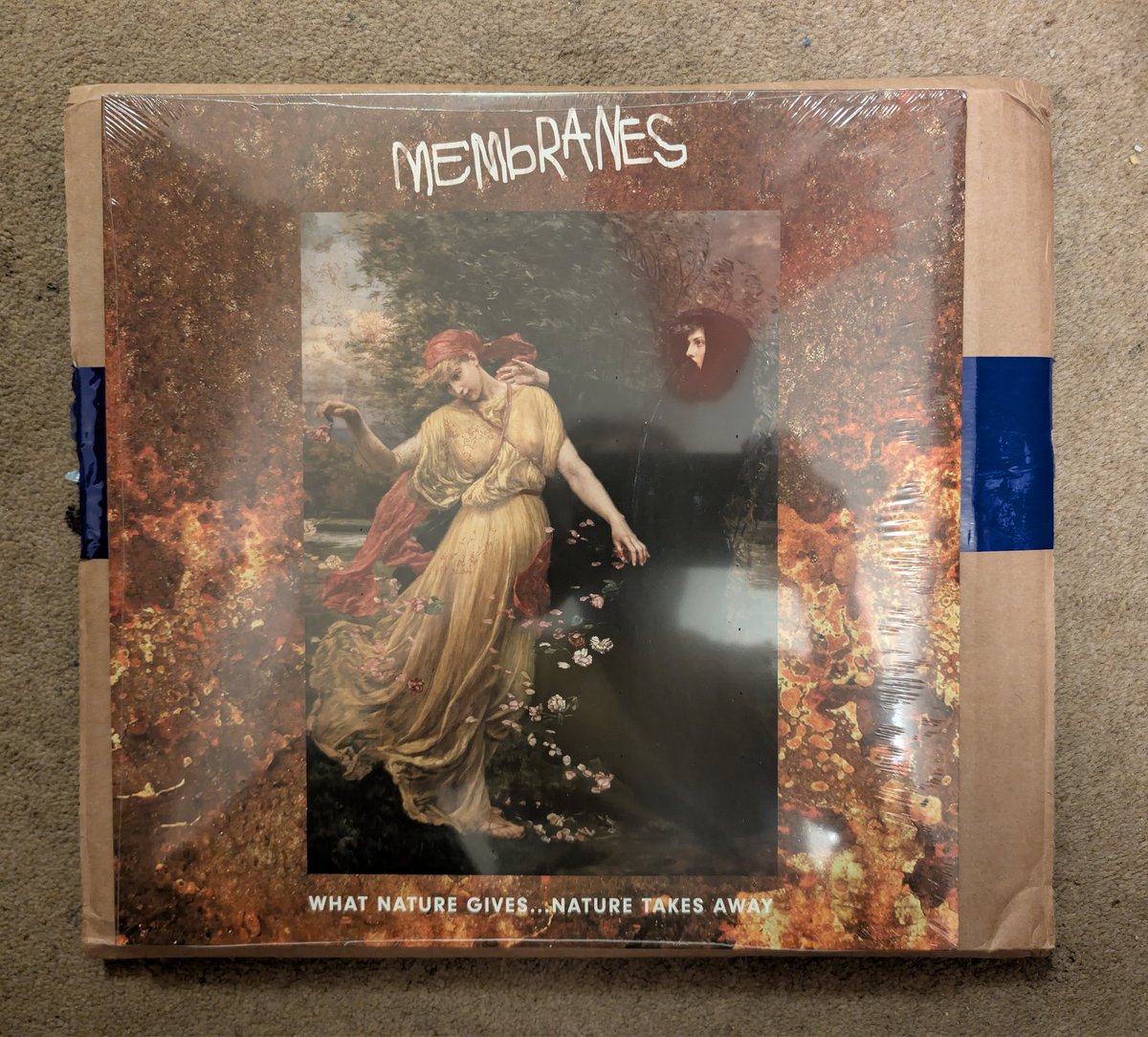 Rupert Cheek tweet media