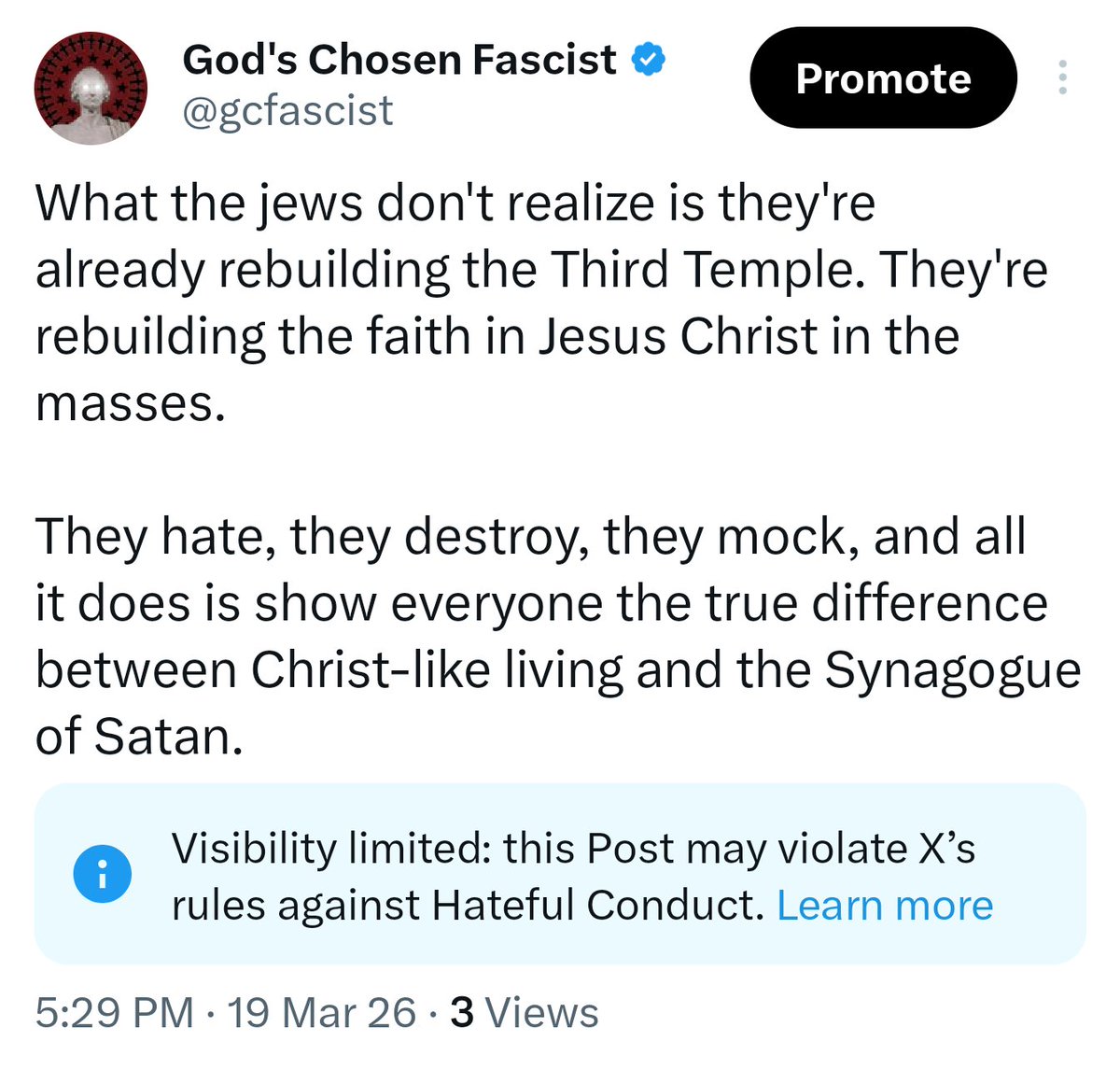 God's Chosen Fascist tweet media