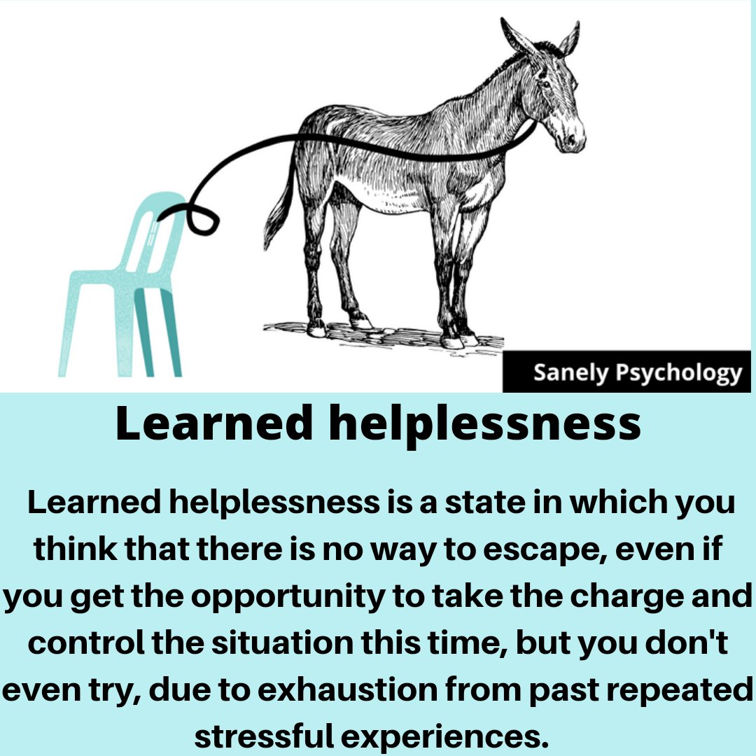 HowlingChrysalis tweet media