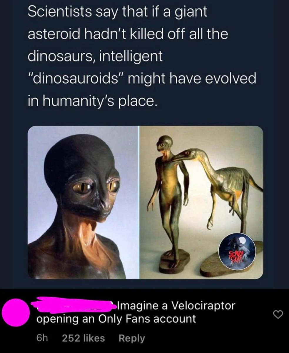 Real Post Folder tweet media