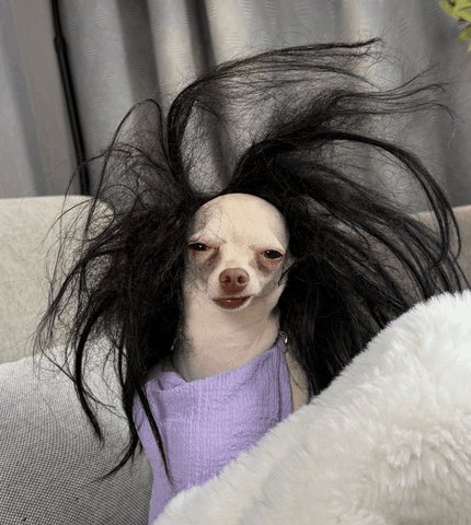 𝐉𝐀𝐘🌱𝐁𝐀𝐁𝐘🔅🌟 tweet media