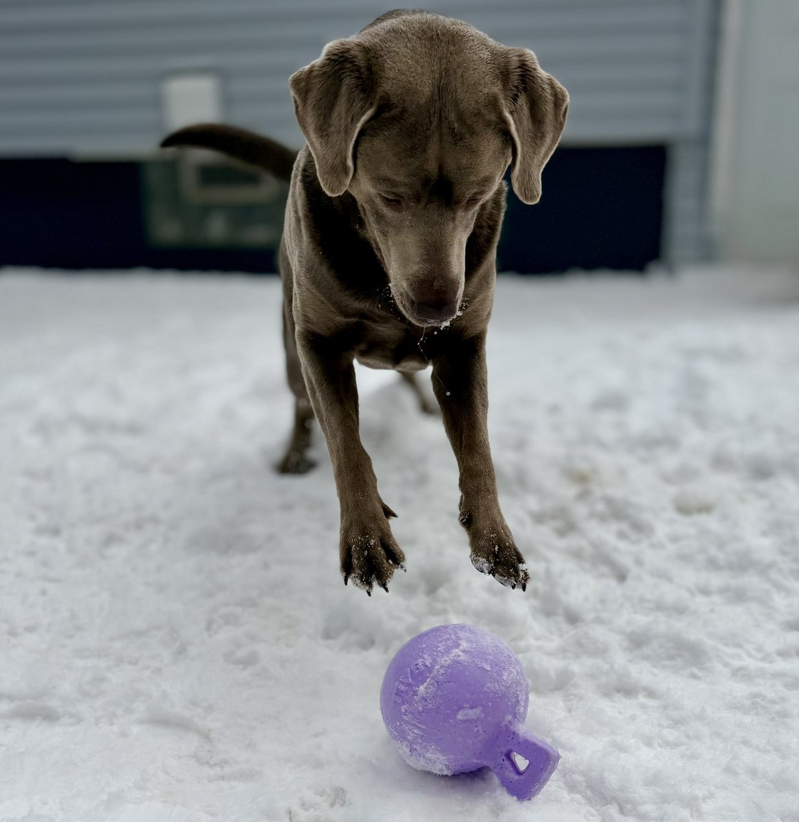 Jackson & Abbey tweet media