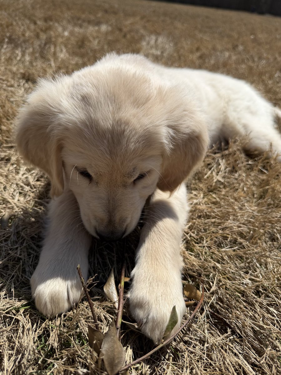 Bflo_Ben tweet media