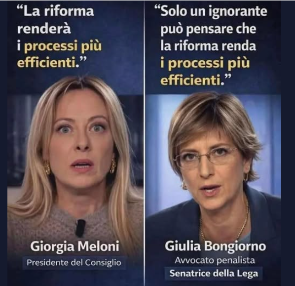 Frenkie_Woody tweet media