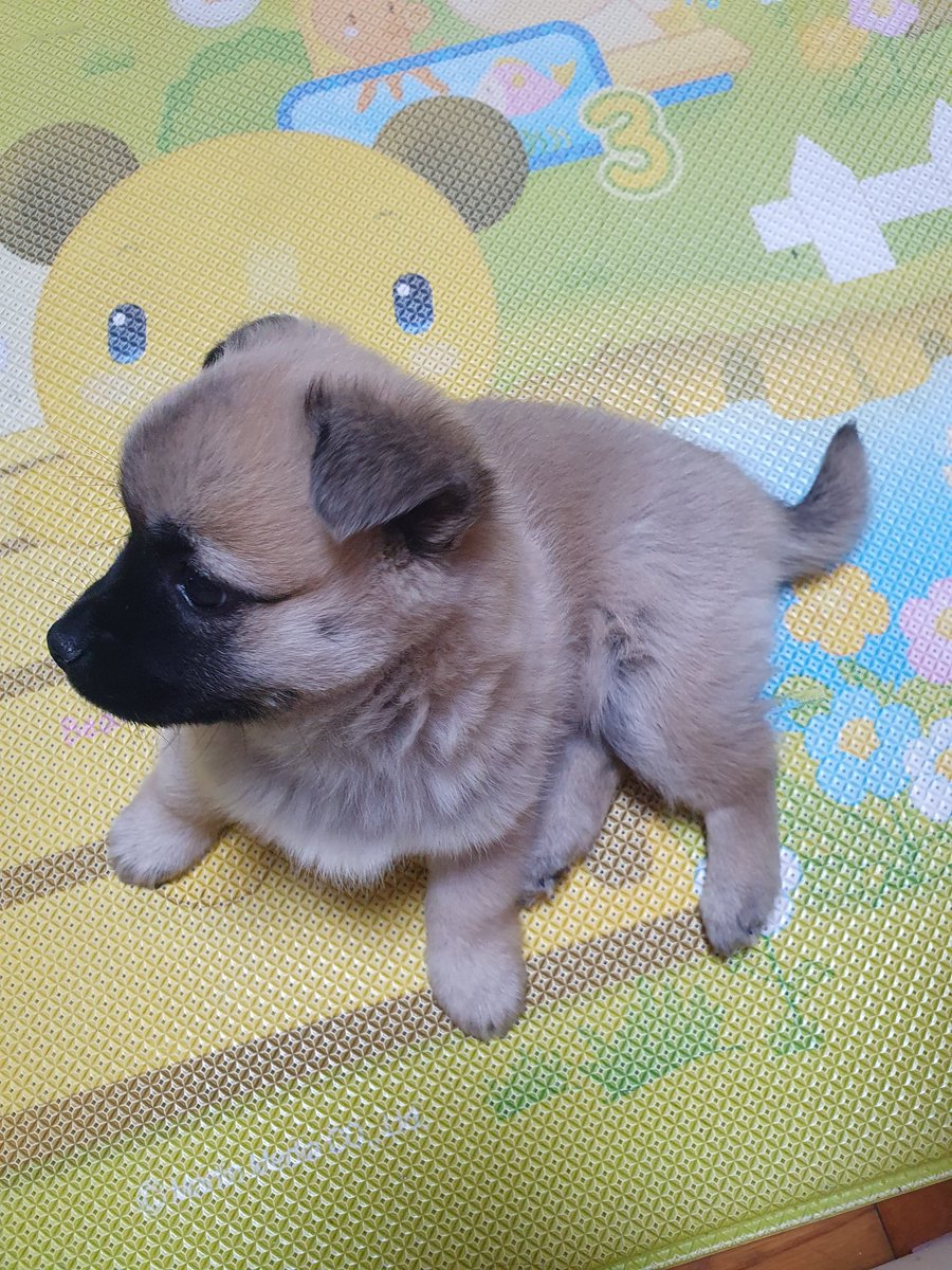 푸른 바다 tweet media