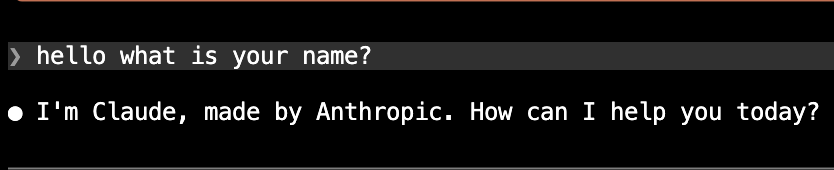 Thao Nguyen (Shibe) tweet media