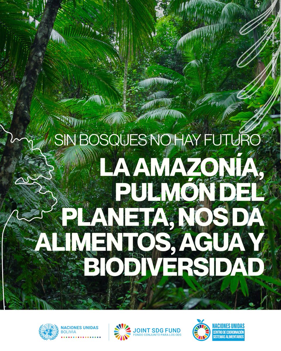 ONU Bolivia tweet media