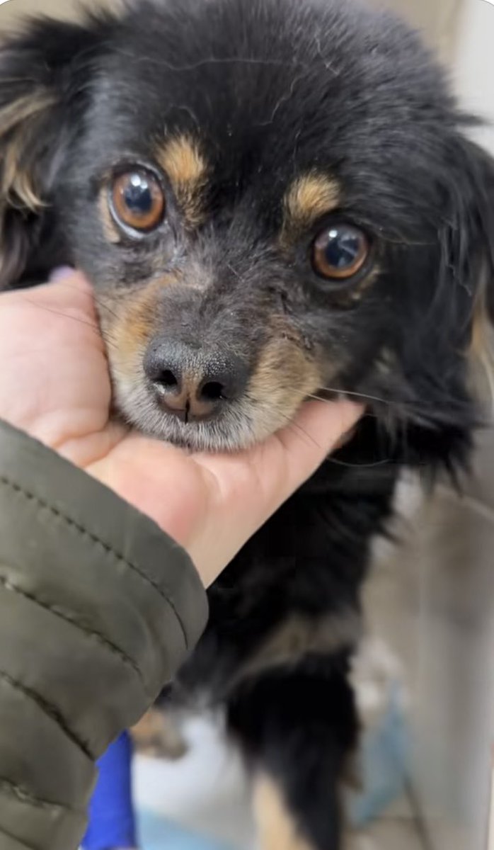 💛💙Hanna❤️🖤 tweet media