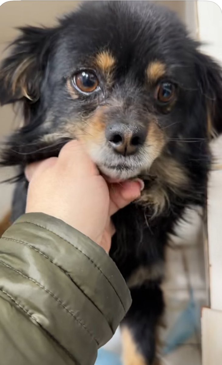 💛💙Hanna❤️🖤 tweet media