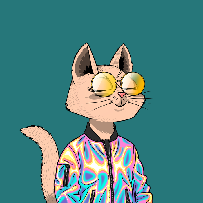 Dreamy 🐈‍⬛ tweet media