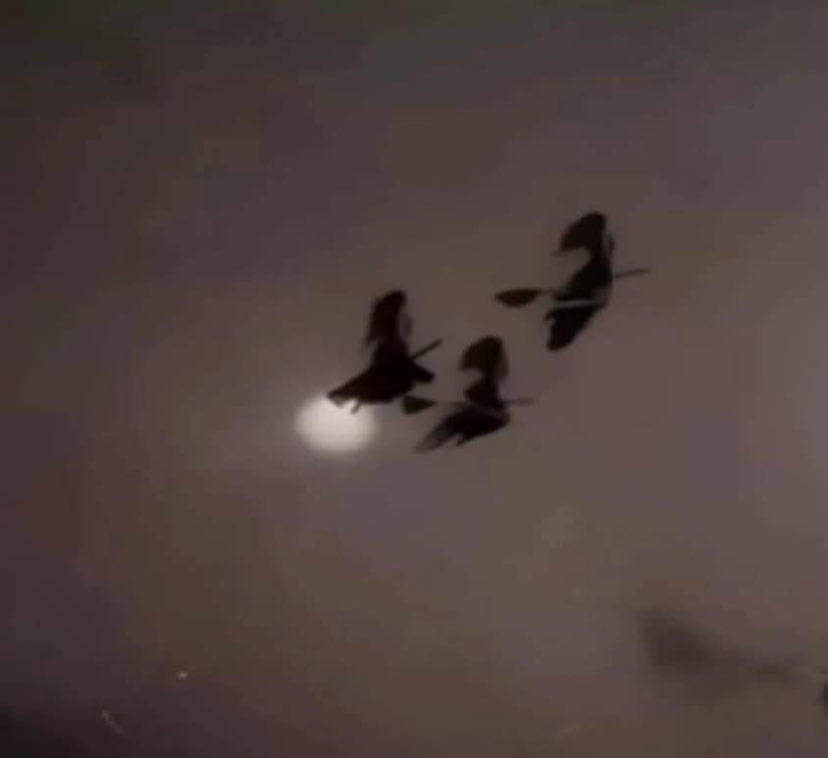 20thcenturybarber tweet media