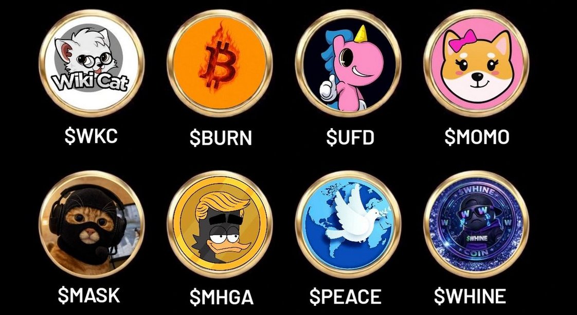 smallcapCRYPTO tweet media