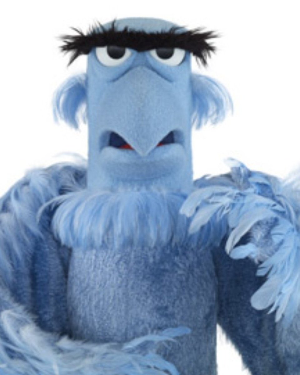 SkipJunior tweet media