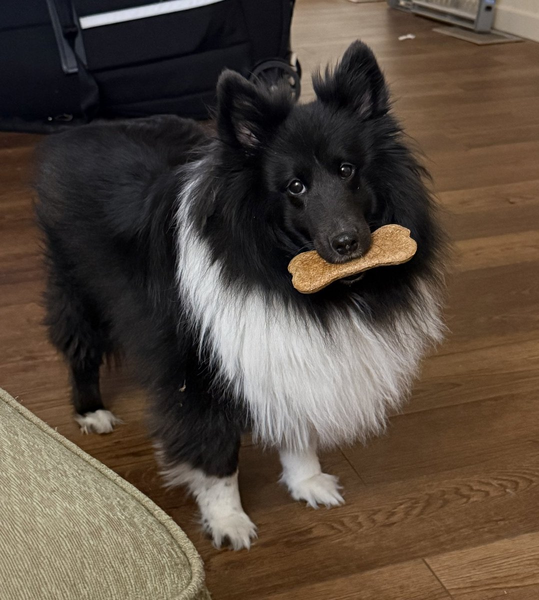 mimi's hooligan⁷ tweet media